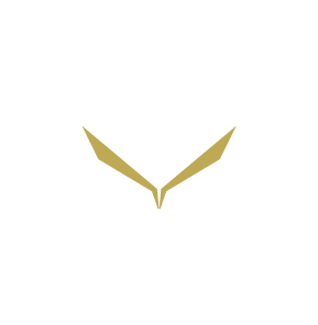 logoArtboard 1 6